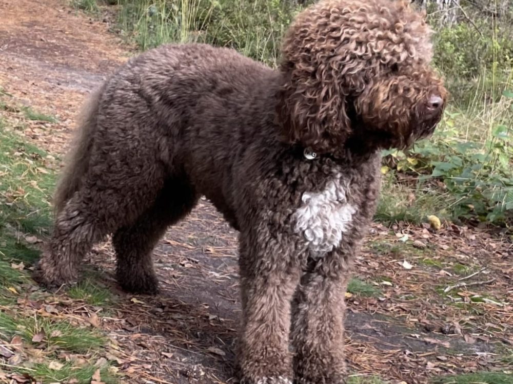 595cc117-8ef9-46e5-8ca6-d59e128949a1 (1)